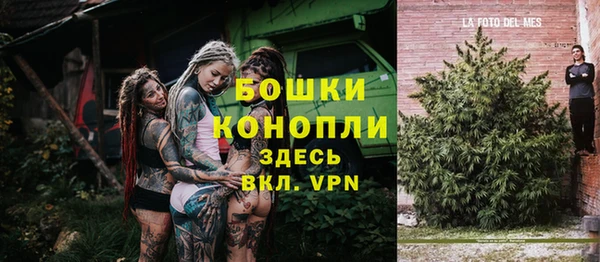 ГАЛЛЮЦИНОГЕННЫЕ ГРИБЫ Белоозёрский