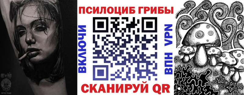 Галлюциногенные грибы Psilocybe  гидра онион  Горячий Ключ 